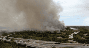 Estero fire San José del Cabo
